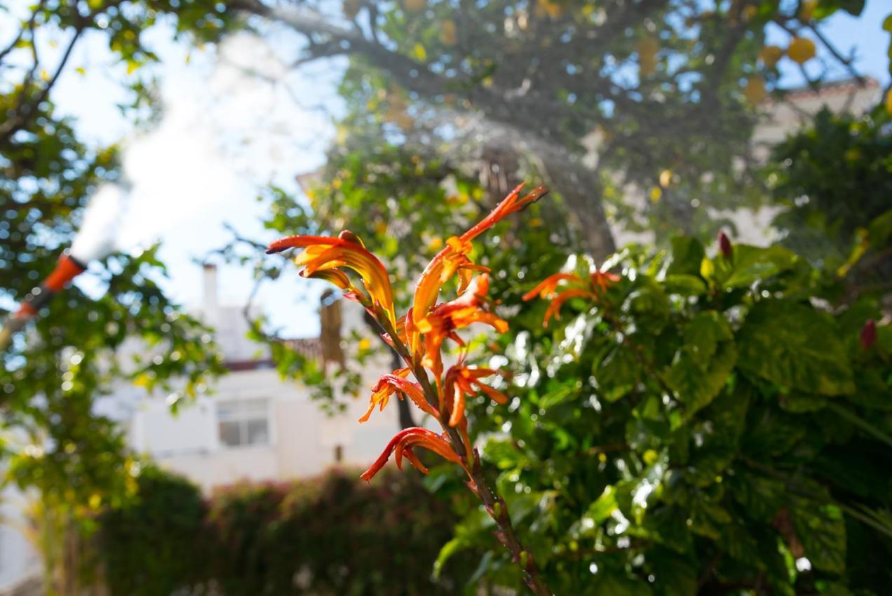 Appartamento Flat With A Garden In Belem Lisbona Esterno foto