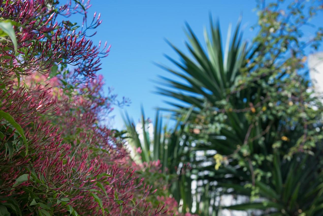 Appartamento Flat With A Garden In Belem Lisbona Esterno foto